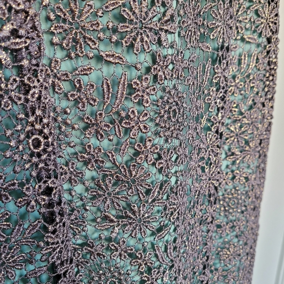 Shimmering Lace Dress - Picture 8 of 13